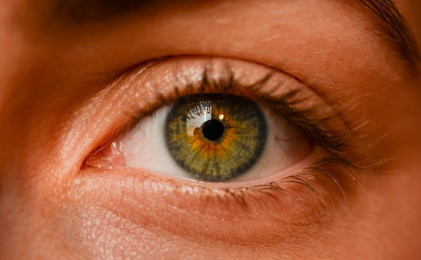Oczy to niezwykły organ. To właśnie dzięki nim doświadczamy.